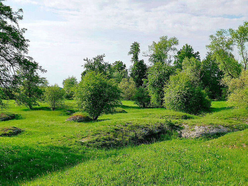 1_Sulzheimer-Gipshuegel_csm_W_Berner_48f8ad72d9-1.jpg